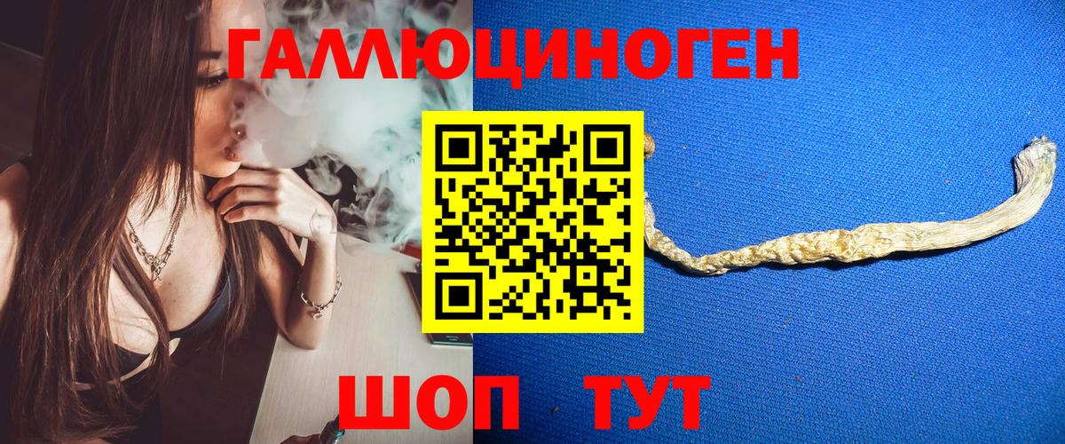 Галлюциногенные грибы Psilocybine cubensis  Вход с VPN  Галлюциногенные грибы Psilocybe  Корсаков 