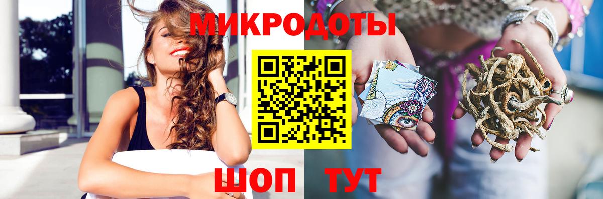 Псилоцибиновые грибы Psilocybe Корсаков